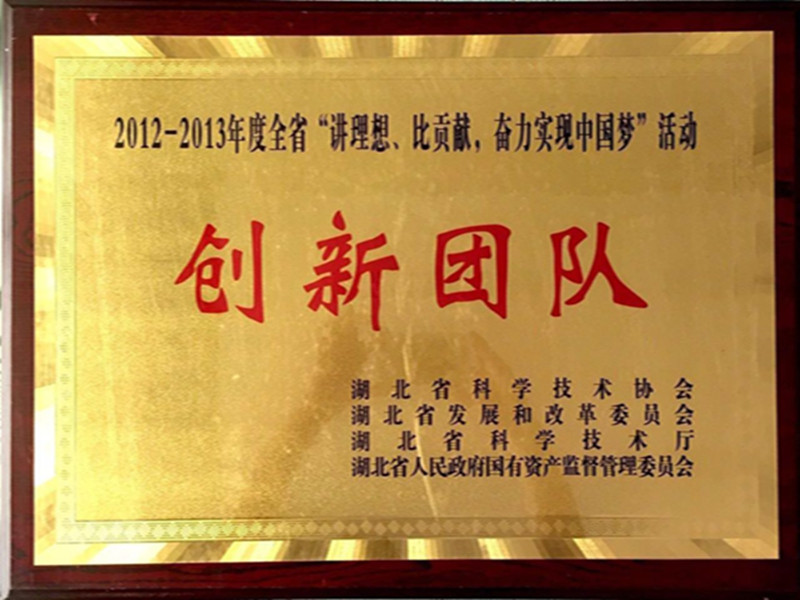 湖北省2012-2013年度“讲理想，比贡献”创新团队.jpg